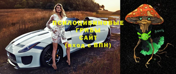 ALPHA-PVP Козельск
