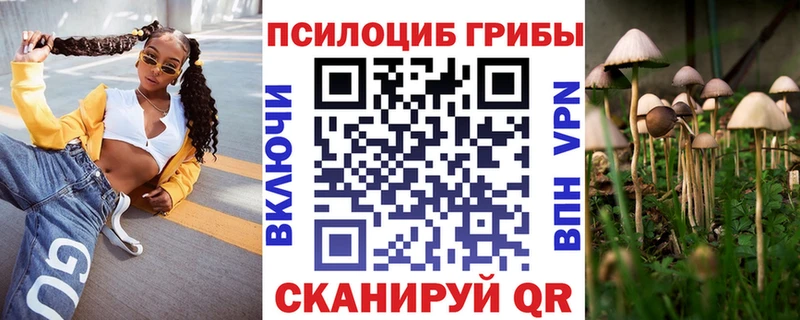 МЕГА ссылка  даркнет Telegram  Галлюциногенные грибы GOLDEN TEACHER  Котовск 