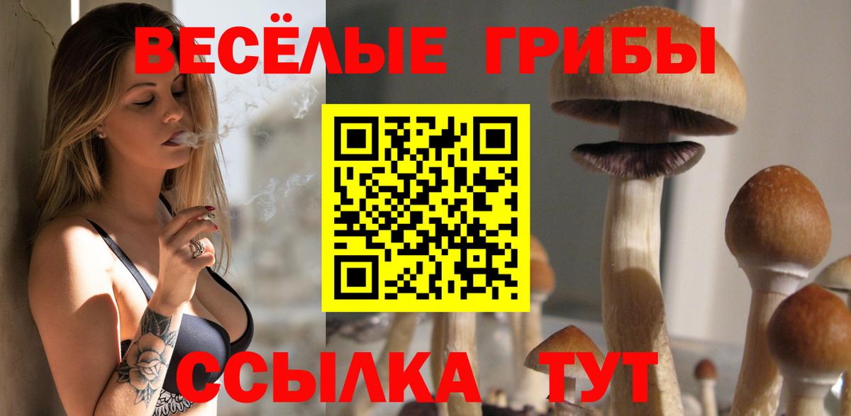 закладка  Псилоцибиновые грибы мухоморы  Вход с VPN  Котовск 