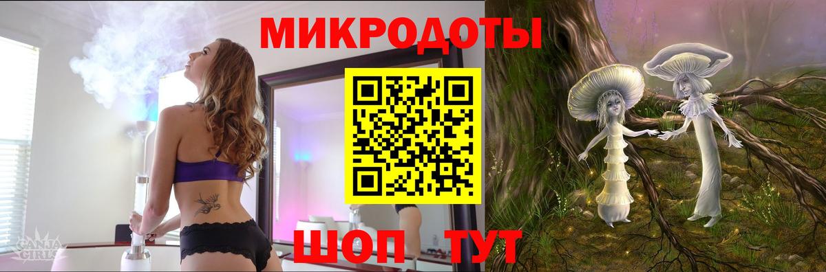 Галлюциногенные грибы Psilocybe Котовск